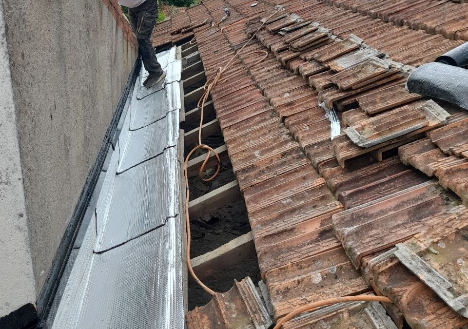 Recherche Fuites Toiture Alès